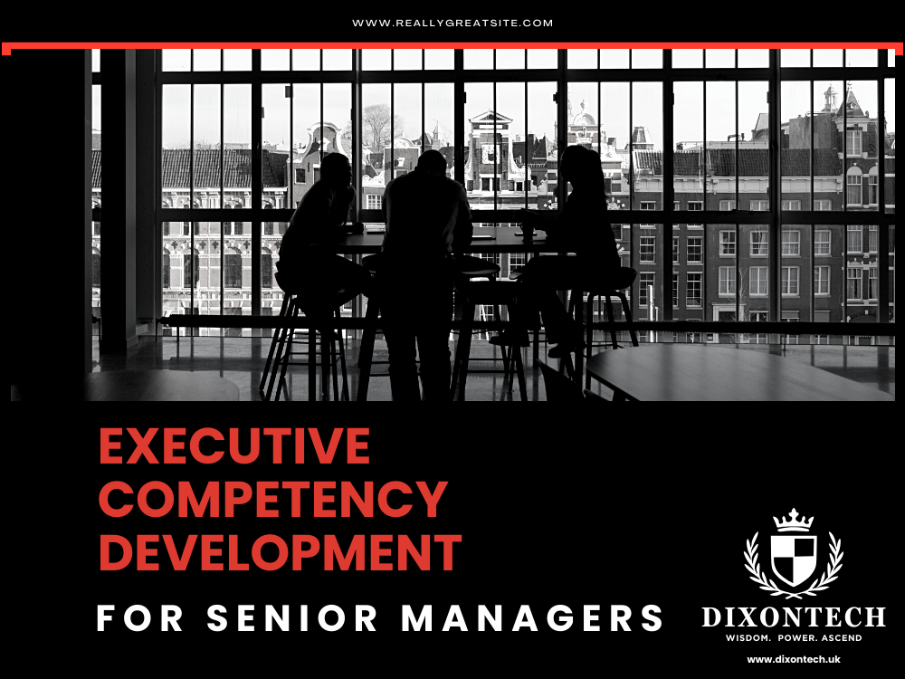 Executive Competency Development for Senior Managers
